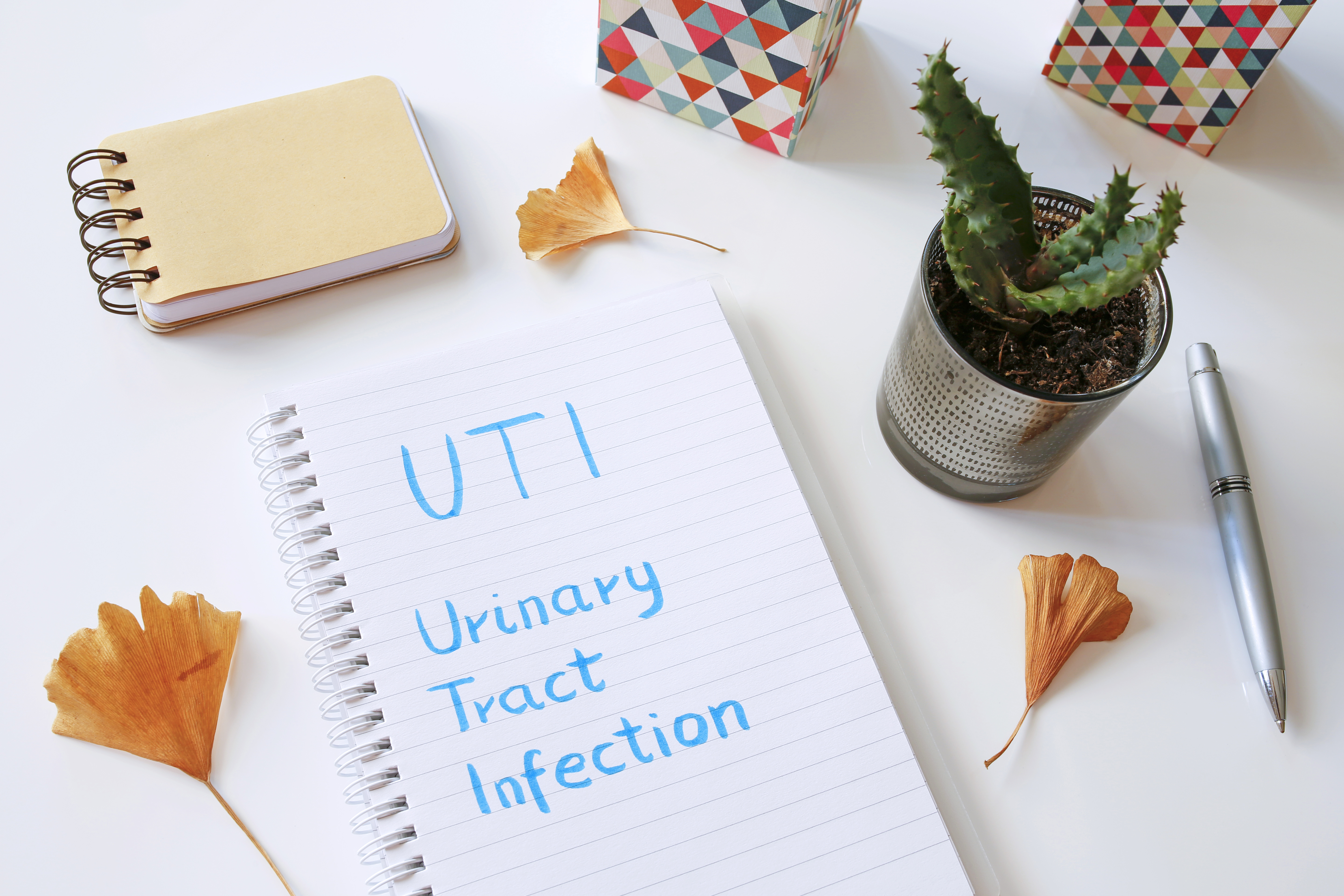 7 Tips To Help Prevent Utis Starmed Specialist Centre Starmed