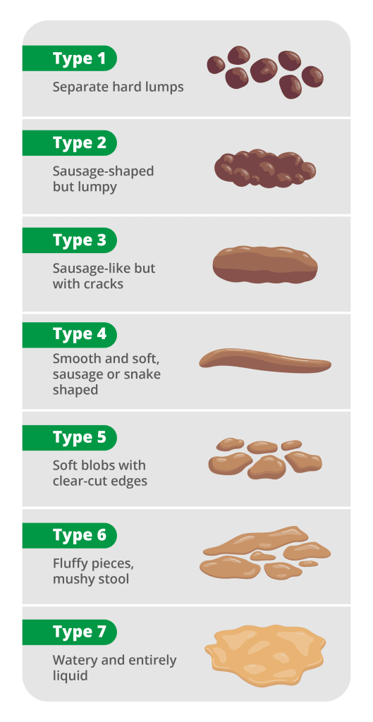 types-of-stool