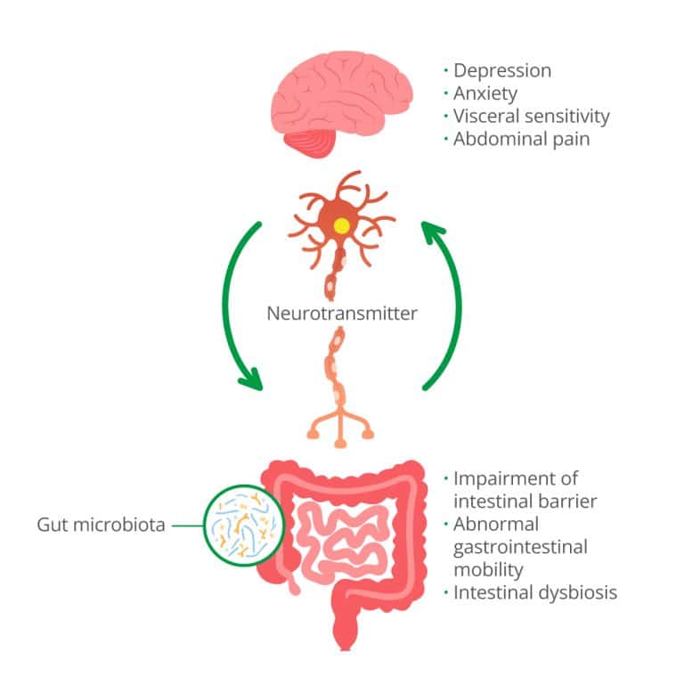 Happy Mind, Happy Gut: Understanding the Brain-Gut Axis & IBS - StarMed ...